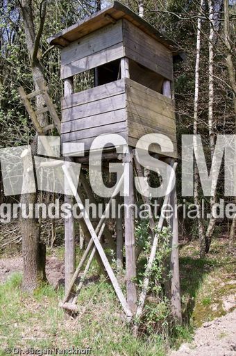 Hochstände (82 von 154).jpg